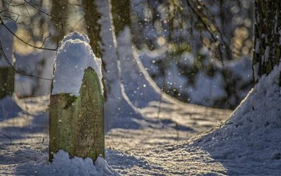 Fotografieren auf dem jüdischen Friedhof in Schweinheim